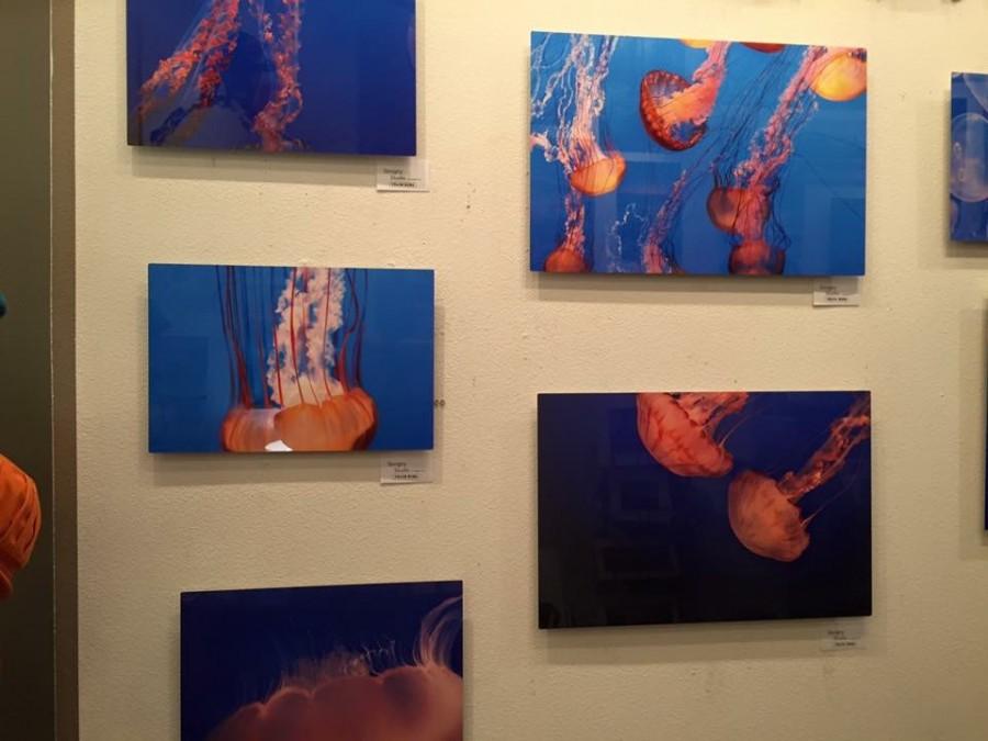 Lea-Ann Wadleighs art featured at Savigny Studio 