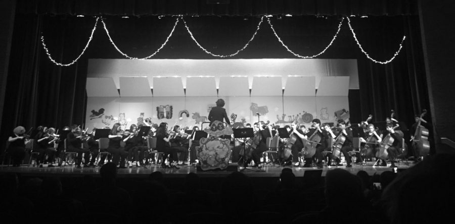 Orchestra%3A+More+Than+Just+a+Music+Class